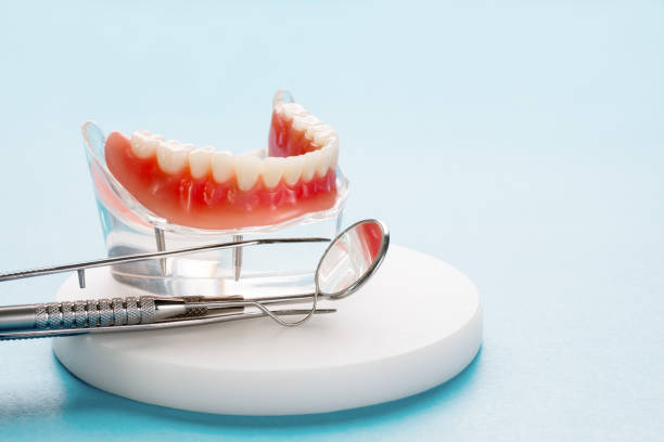 Best Preventive Dentistry  in Masonville, KY